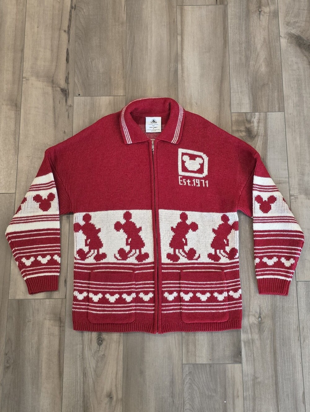 DISNEY WORLD Sweater Spirit Jersey